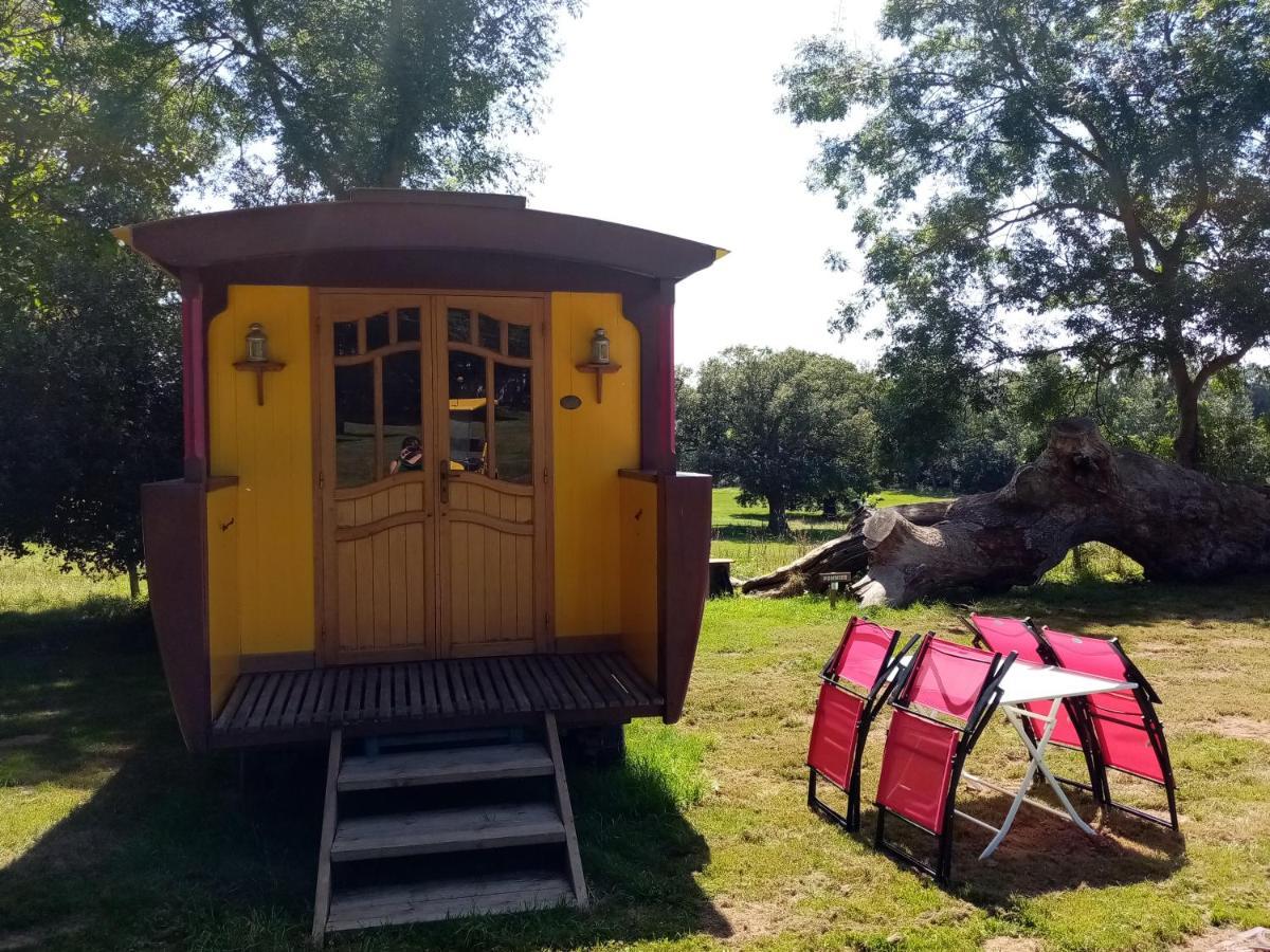 Camping La Bergerie Ξενοδοχείο La Chapelle-Achard Εξωτερικό φωτογραφία